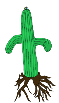 Enraged cactus.png