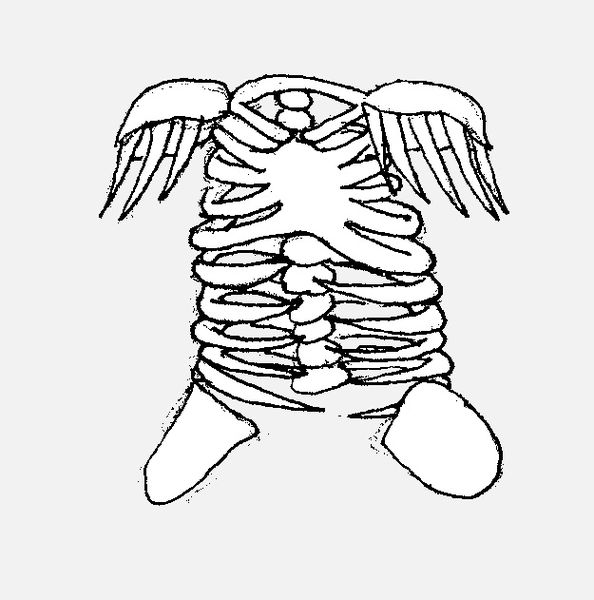 File:Bone armor.jpg