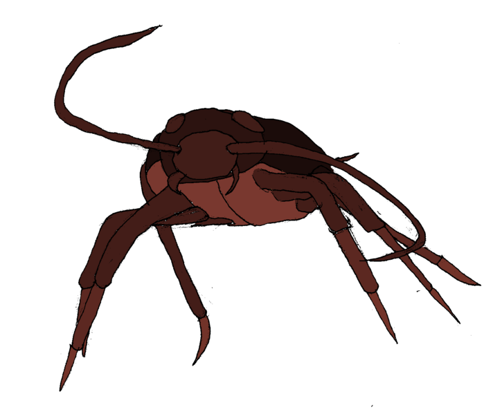 File:Time roach.png