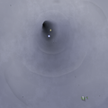 Thumbnail for version as of 19:19, 23 March 2016