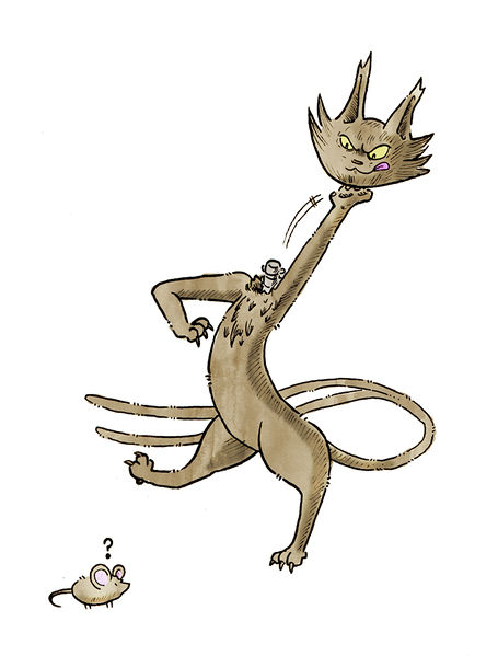 File:Cat.jpg