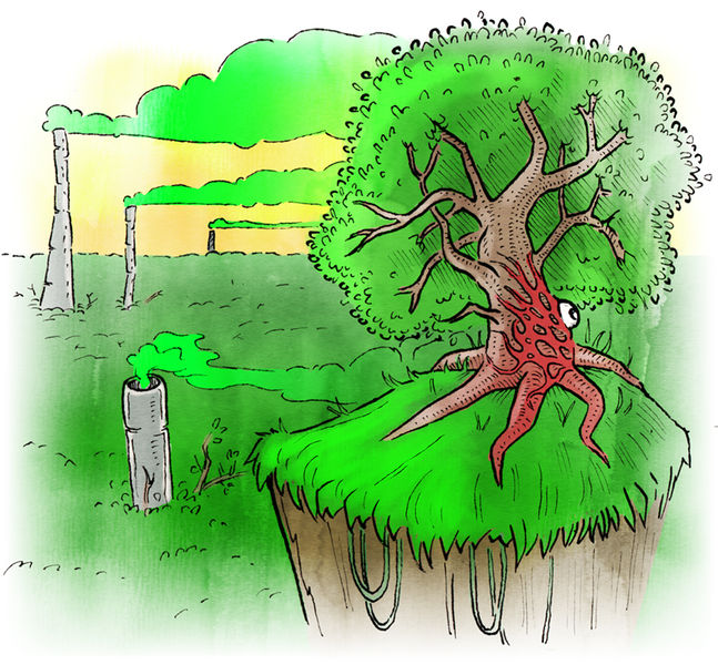 File:Toxic Forest.jpg